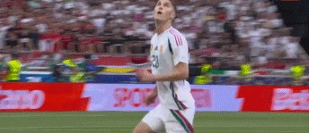 1718817667357009445.gif 德匈60.gif